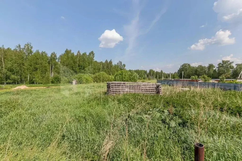 Участок в Тюменская область, Нижнетавдинский муниципальный округ, ... - Фото 1