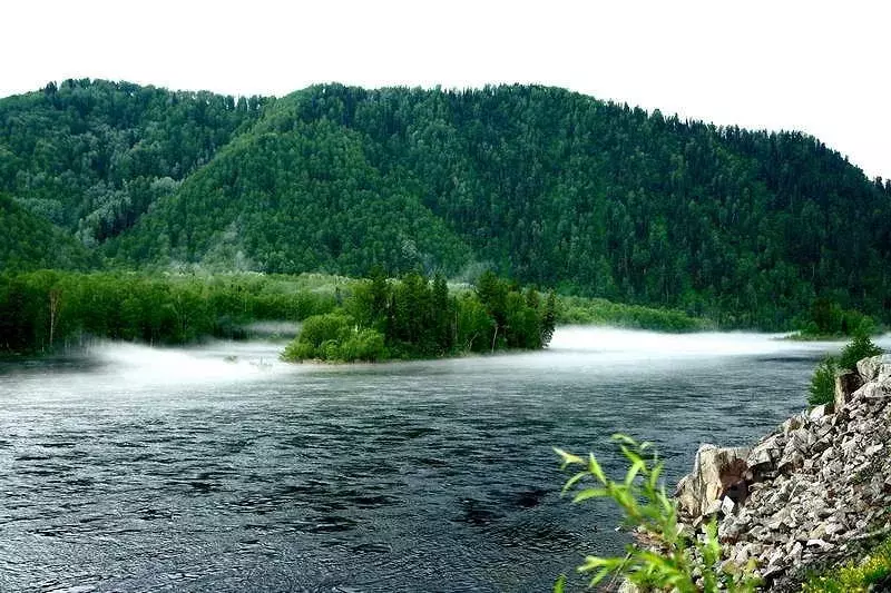 Участок в Алтай, Турочакский район, с. Верх-Бийск Береговая ул., 8 ... - Фото 0