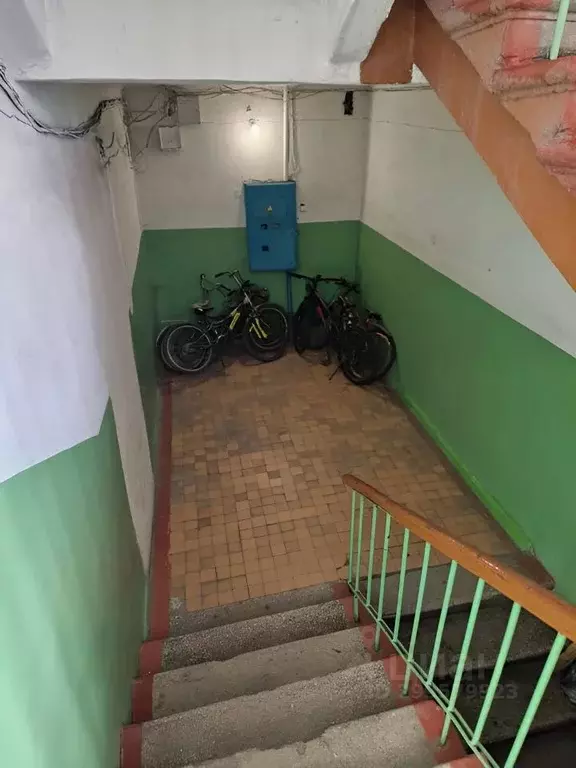 3-к кв. Алтайский край, Рубцовск ул. Калинина, 14 (88.0 м) - Фото 2