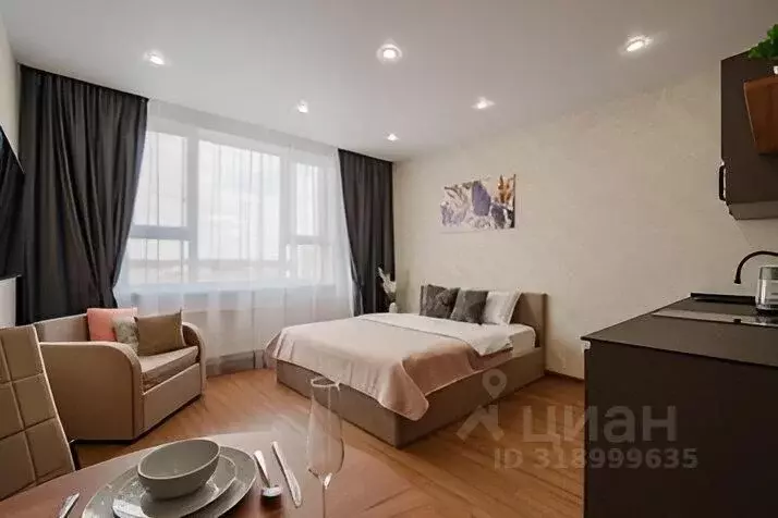 1-к кв. Свердловская область, Екатеринбург ул. Фрунзе, 31 (25.0 м) - Фото 0