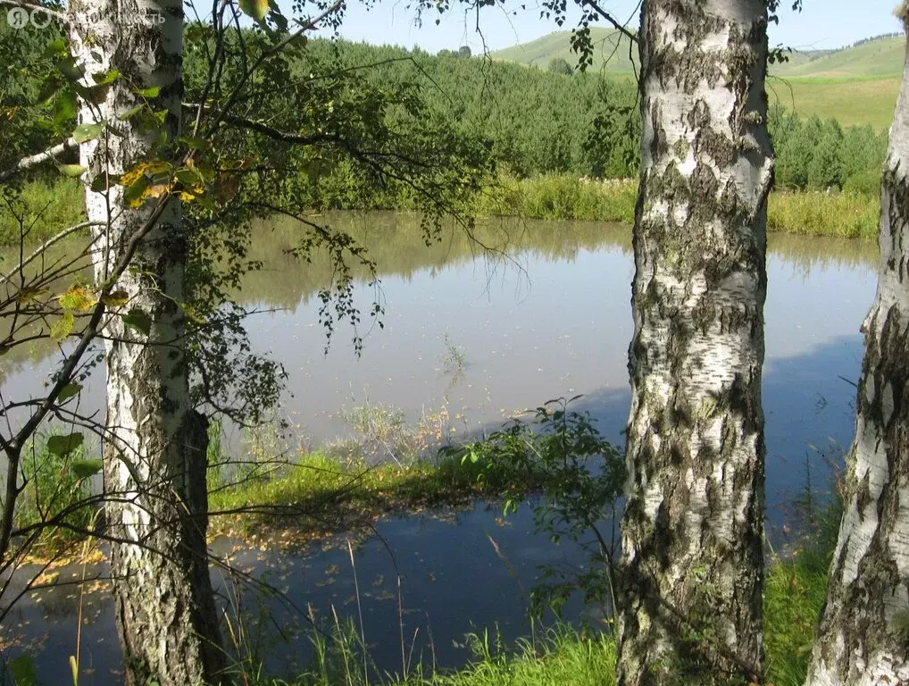 Участок в село Нижнекаянча, Центральная улица (20 м) - Фото 1