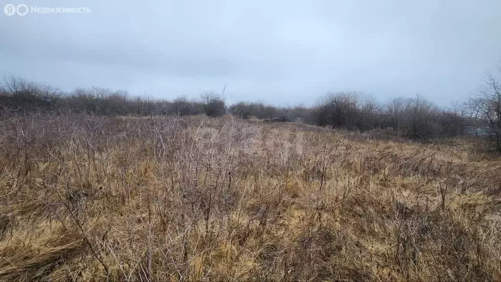 Участок в село Репное, Рассветная улица (15 м) - Фото 2