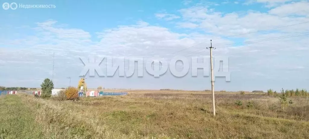 Участок в Новосибирская область, рабочий посёлок Колывань, Трактовая ... - Фото 0