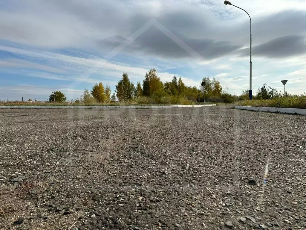 Участок в Омская область, Азовский Немецкий Национальный район, с. ... - Фото 1