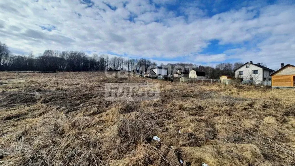 Участок в Смоленская область, Смоленский муниципальный округ, д. ... - Фото 2
