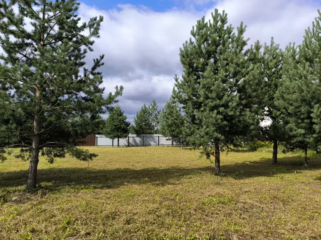 Участок в Московская область, Раменский муниципальный округ, с. Речицы ... - Фото 1