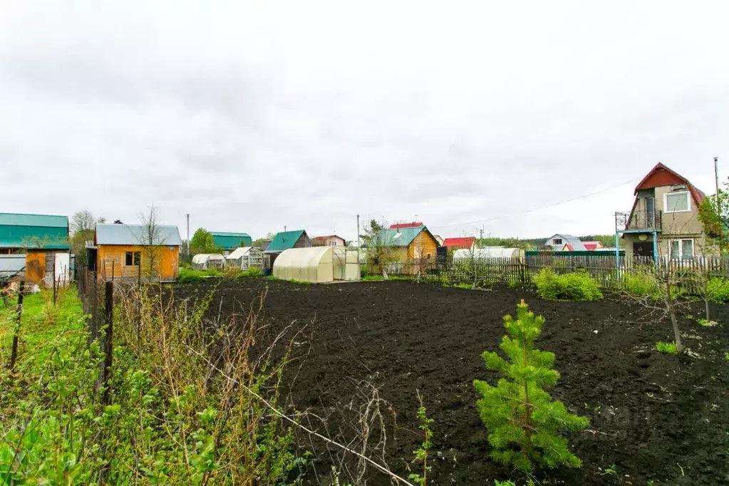 Дом в Новосибирская область, Новосибирск Светофор СНТ, 229 (10 м) - Фото 1