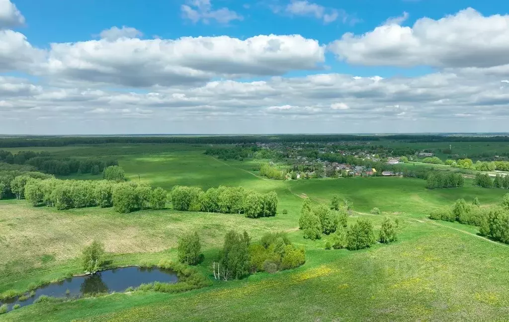 Участок в Московская область, Ступино городской округ, с. Занкино  ... - Фото 1
