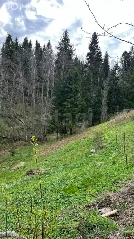 Участок в Будогощское городское поселение, деревня Рахово (11 м) - Фото 1
