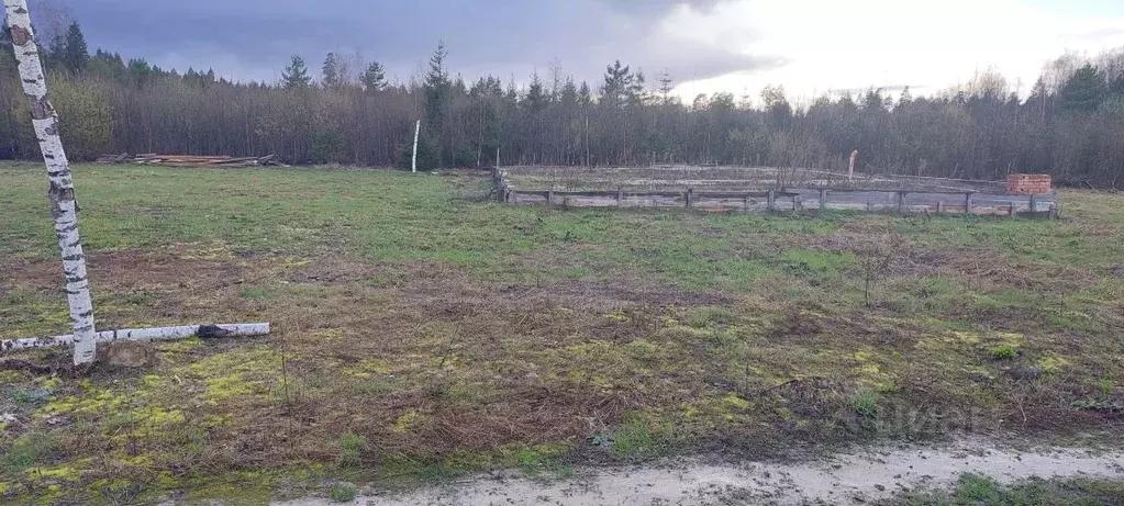 Участок в Московская область, Рузский городской округ, д. Сытьково  ... - Фото 0