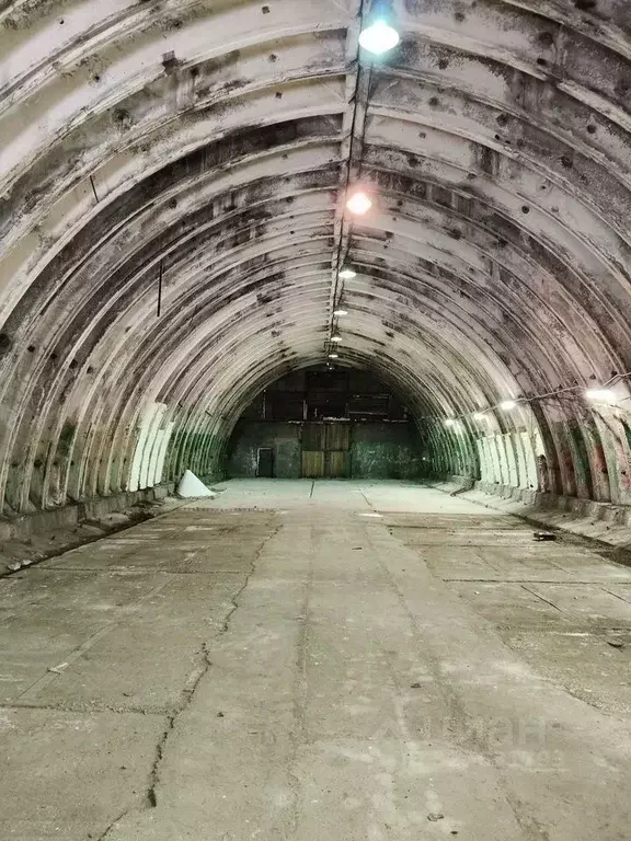 Производственное помещение в Московская область, Химки ш. Лобненское, ... - Фото 1