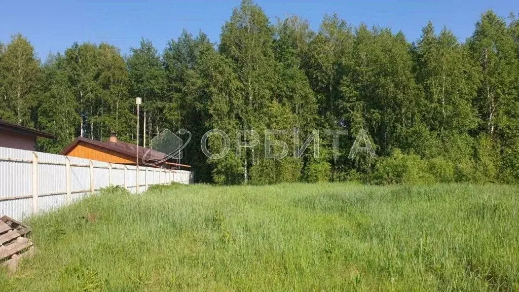 Участок в Тюменская область, Нижнетавдинский район, д. Московка  (12.0 ... - Фото 1