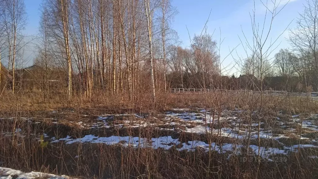 Участок в Новгородская область, Новгородский район, Бронницкое с/пос, ... - Фото 0