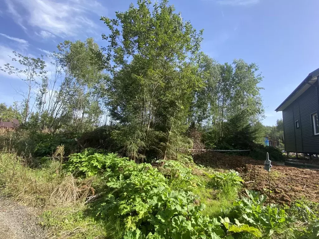 Участок в Московская область, Клин городской округ, д. Давыдково  (6.0 ... - Фото 0