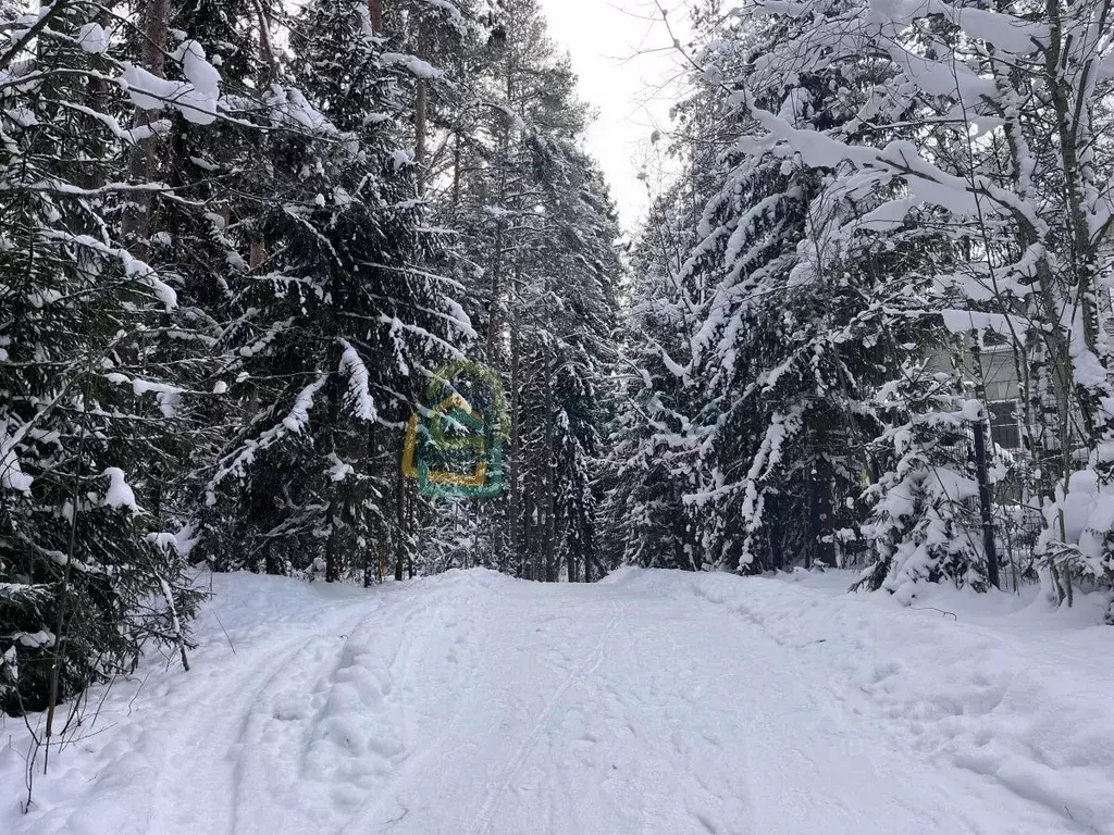 Участок в Ленинградская область, Всеволожский район, Куйвозовское ... - Фото 1