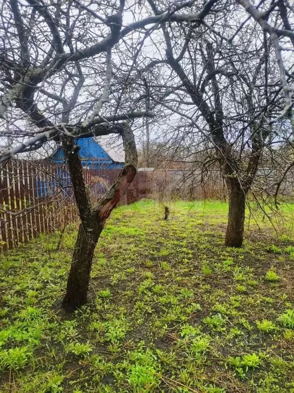 Участок в Самарская область, Волжский район, Петра Дубрава городское ... - Фото 2