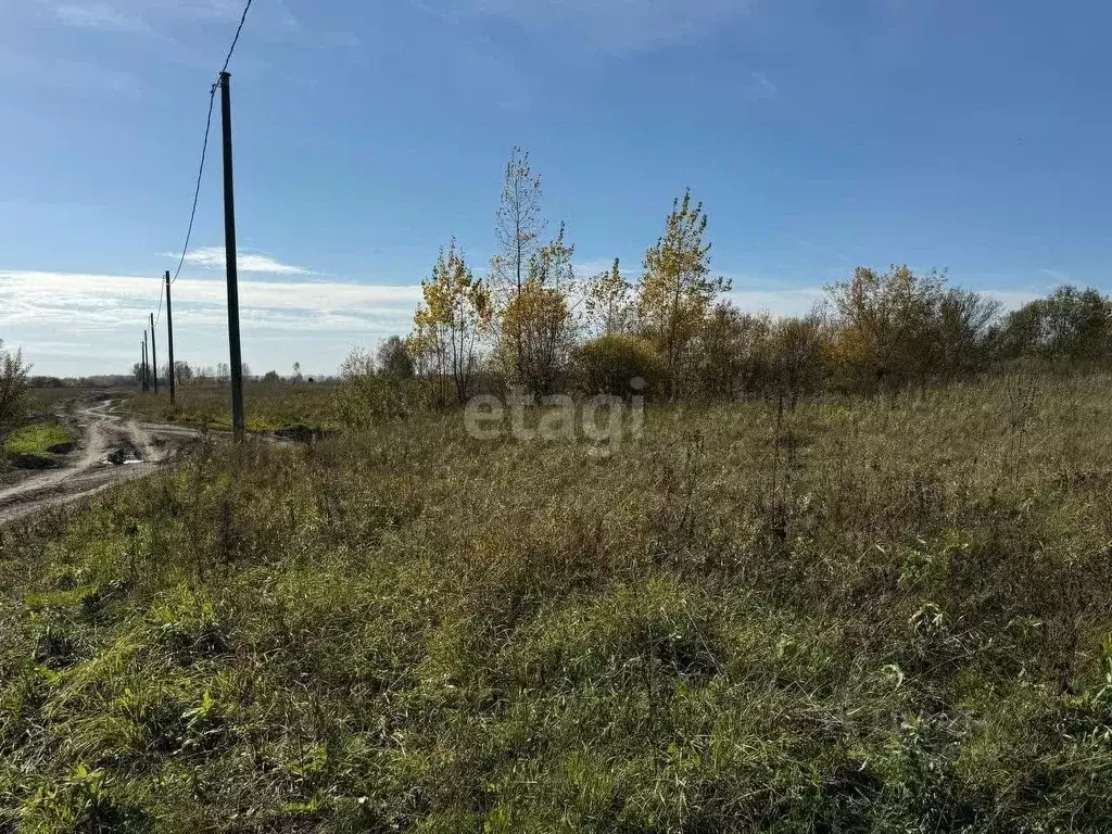 Участок в Кемеровская область, Кемеровский район, д. Старочервово ... - Фото 0