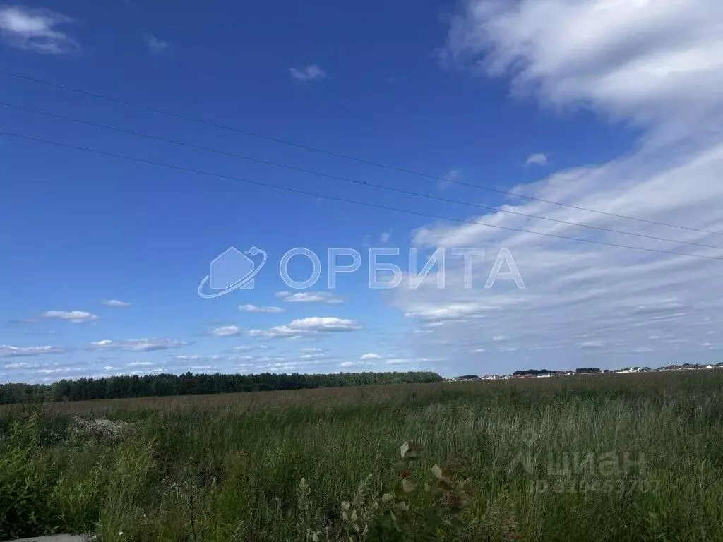 Участок в Тюменская область, Тюменский район, с. Горьковка Сибирская ... - Фото 0