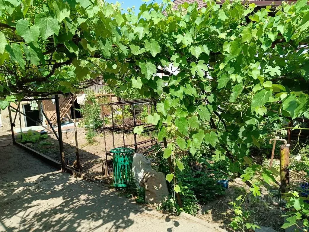 Дом в Ростовская область, Ростов-на-Дону ул. Цурюпы, 16а (83 м) - Фото 2