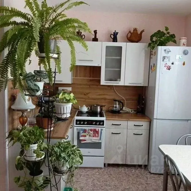 Студия Томская область, Томский район, Богашевское с/пос, пос. Ключи ... - Фото 2