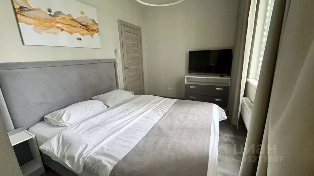 Студия Санкт-Петербург Витебский просп., 99к1 (24.0 м) - Фото 2