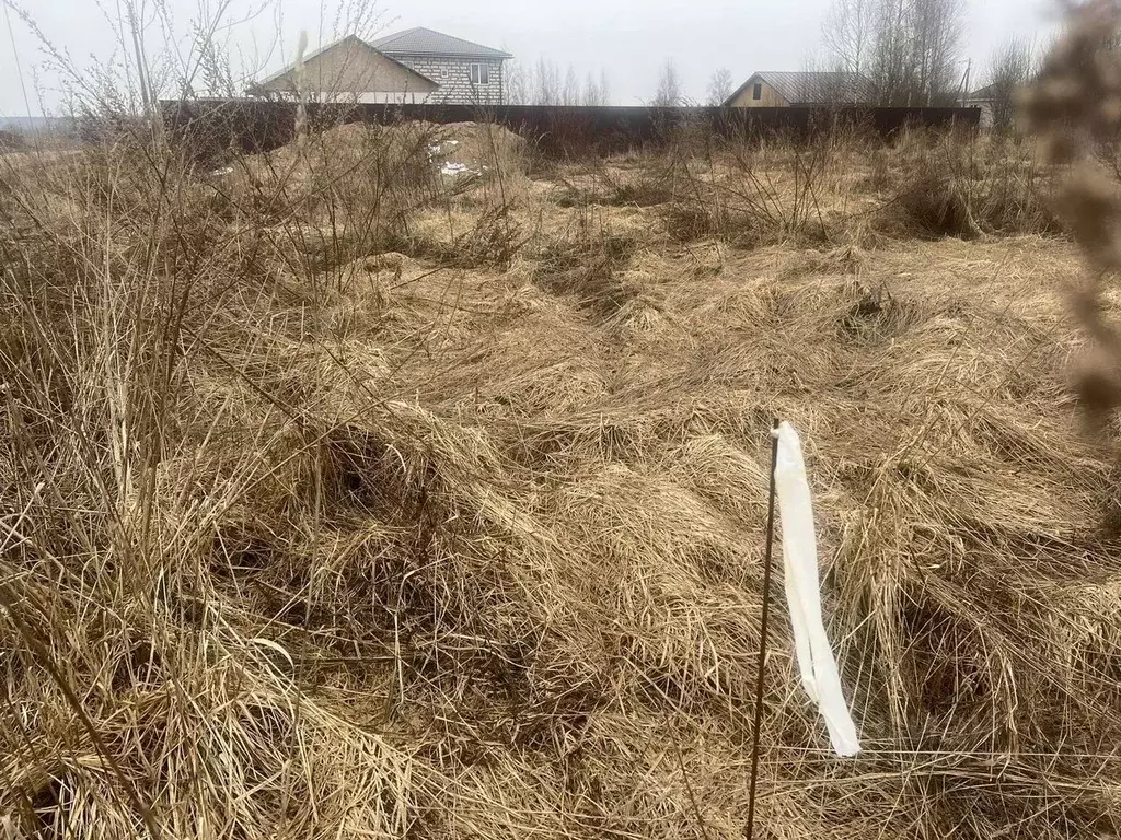 Участок в Ленинградская область, Гатчинский муниципальный округ, пос. ... - Фото 1