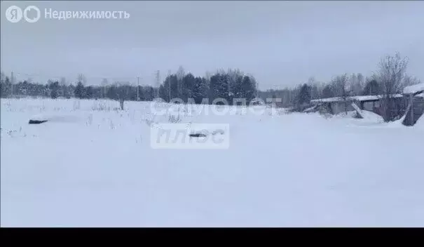 Участок в Заводоуковск, СОТ Колос, 62 (15 м) - Фото 1