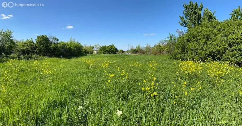 Участок в село Михайловское, Южная улица (25 м) - Фото 1