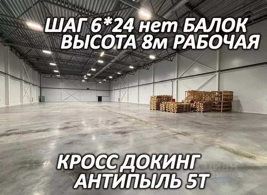 Склад в Московская область, Чехов муниципальный округ, с. Новоселки, ... - Фото 2