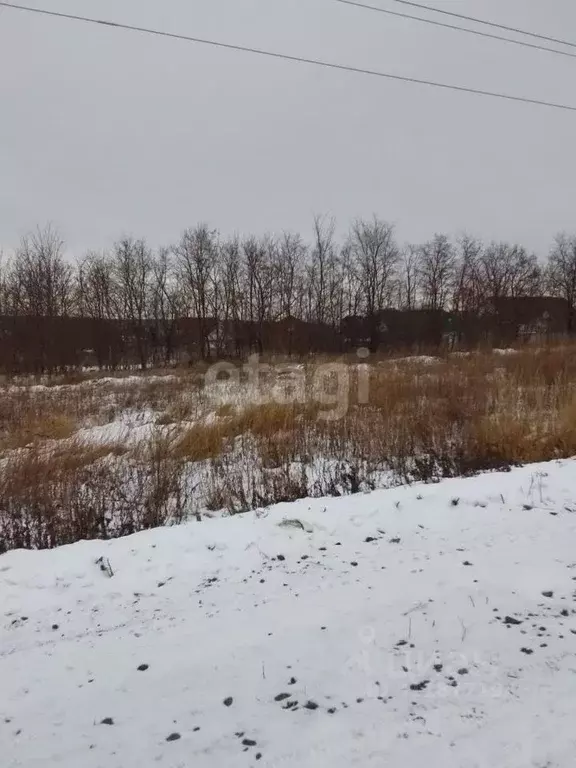 Участок в Белгородская область, Новый Оскол ул. Виноградная (15.0 ... - Фото 1