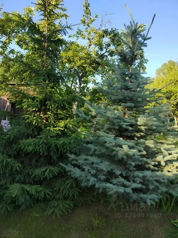 Участок в Московская область, Раменский муниципальный округ, Ильинский ... - Фото 2