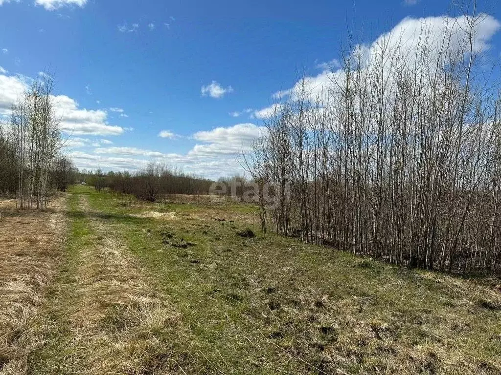 Участок в Свердловская область, Нижний Тагил Ольховский садовое ... - Фото 0