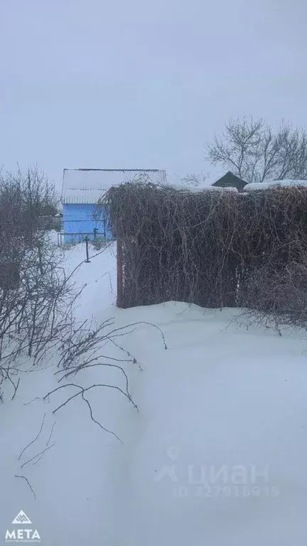 Дом в Омская область, Омск Звездочка СНТ, аллея 29-я, 1109 (18 м) - Фото 1