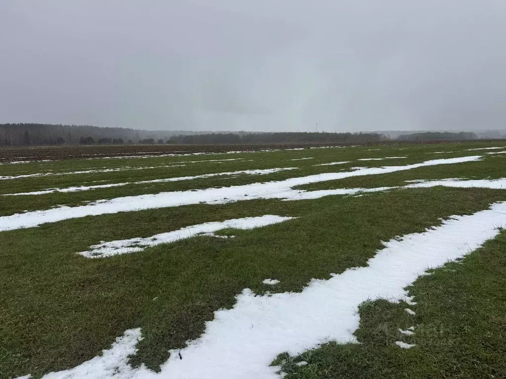 Участок в Московская область, Богородский городской округ, д. Соколово ... - Фото 1