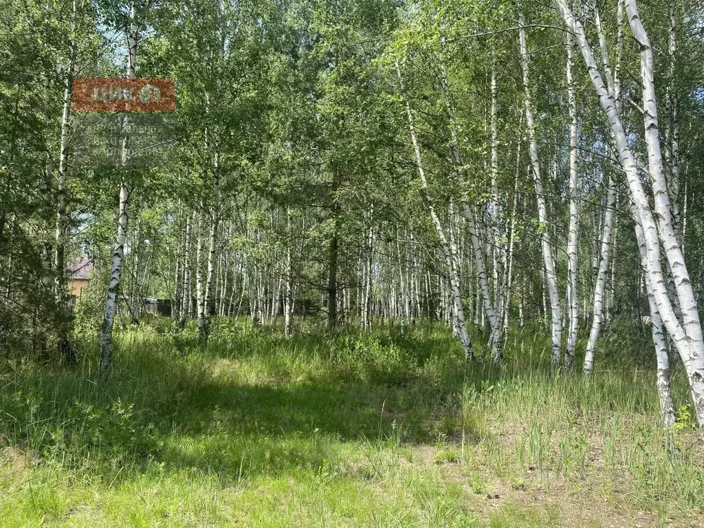 Участок в Рязанская область, Рязанский район, Дубровическое с/пос, с. ... - Фото 1