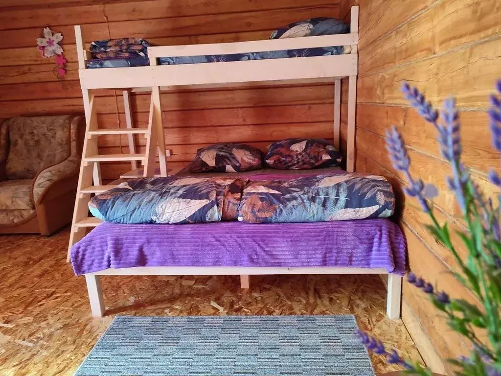 Дом в Алтай, Майминский район, Соузгинское с/пос, пос. Турбаза Юность ... - Фото 1