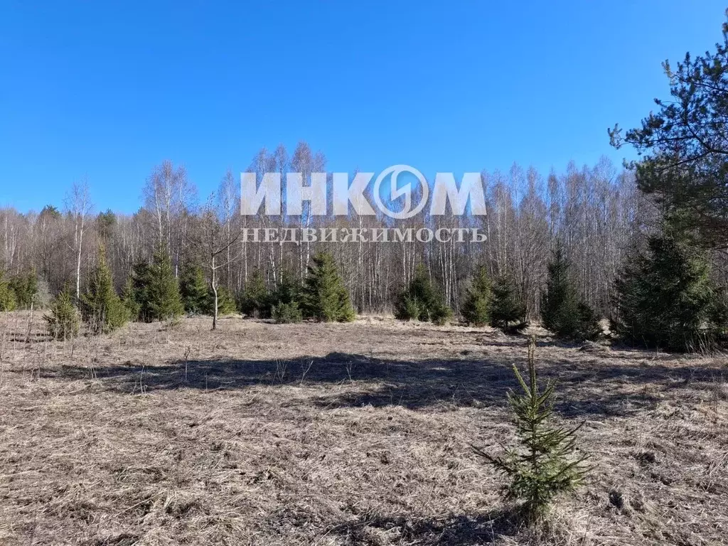Участок в Московская область, Дмитровский муниципальный округ, ... - Фото 1