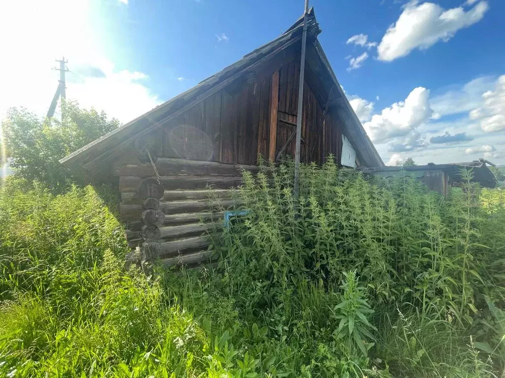Дом в село Мамоново, Луговая улица, 16 (24.4 м) - Фото 1