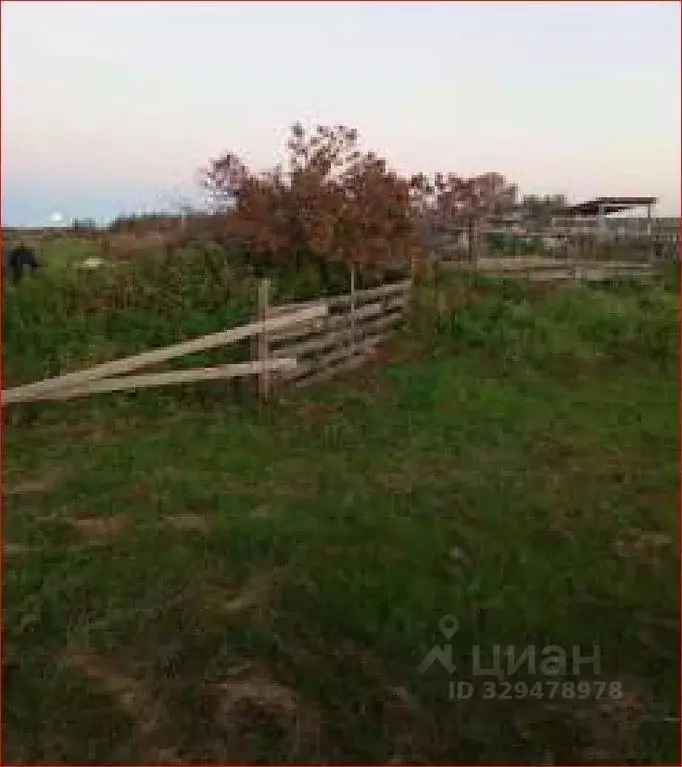 Участок в Свердловская область, Ирбитский район, д. Чусовляны ... - Фото 2