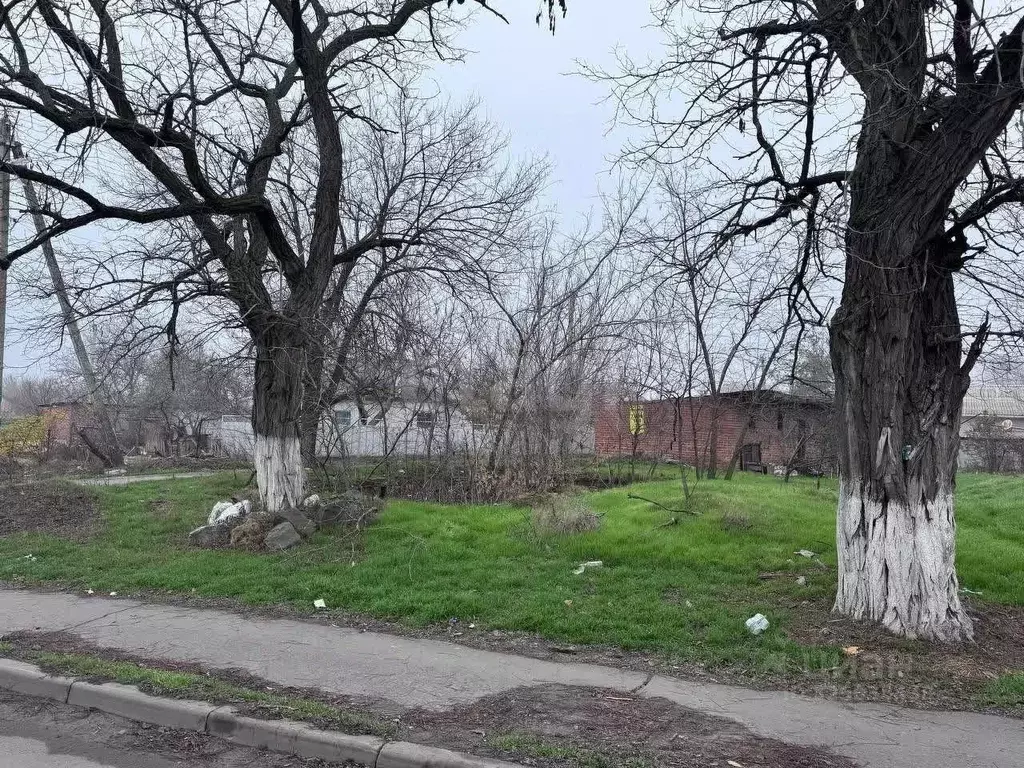 Участок в Ростовская область, Родионово-Несветайская сл. ул. ... - Фото 1