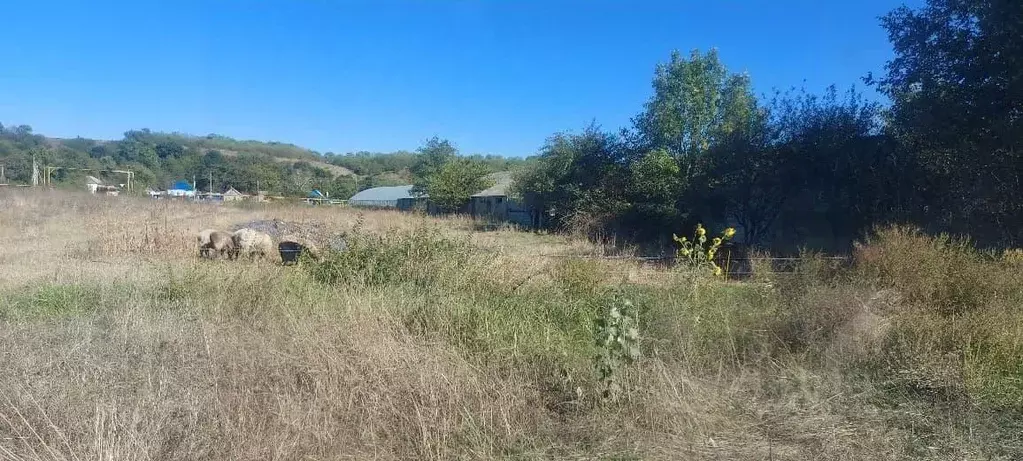 Участок в Краснодарский край, Лабинский район, Владимирская ст-ца ... - Фото 2