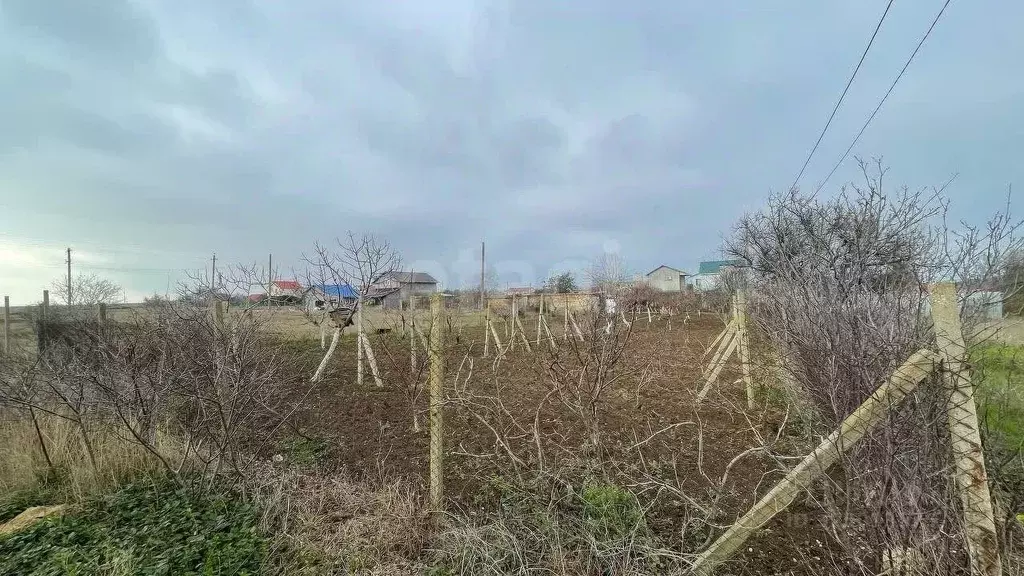 Участок в Крым, Черноморское пгт, Бриз СНТ ул. Каштановая (6.55 сот.) - Фото 1