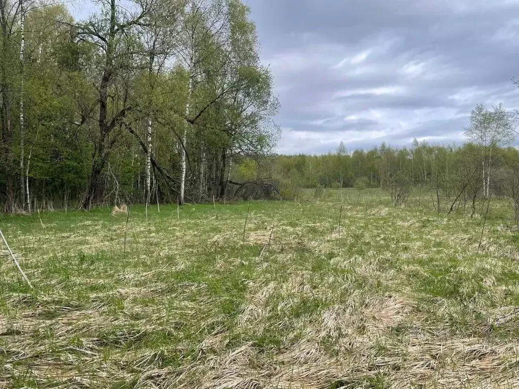 Участок в Московская область, Можайский муниципальный округ, д. ... - Фото 2