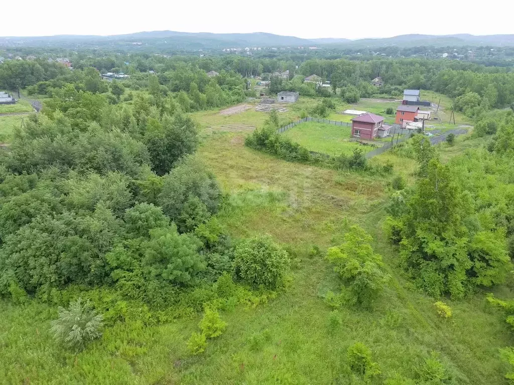 Участок в Хабаровский край, Хабаровский район, с. Сосновка Лесная ул., ... - Фото 1