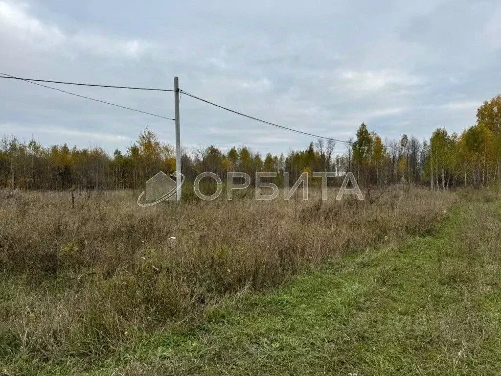 Участок в Тюменская область, Тюменский район, с. Перевалово  (10.0 ... - Фото 1