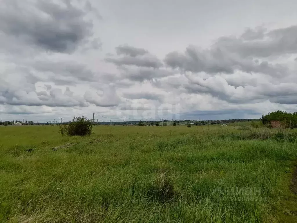 Участок в Саратовская область, Балашовский район, Хоперское ... - Фото 1