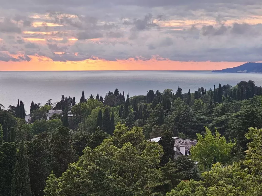 2-к кв. Краснодарский край, Сочи Виноградная ул., 4 (80.0 м) - Фото 1