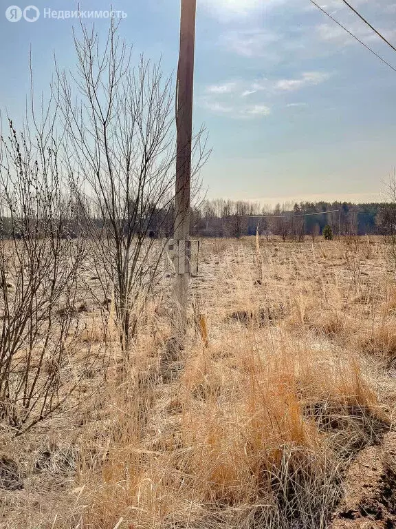 Участок в Ярославская область, сельское поселение Некрасовское, ... - Фото 1