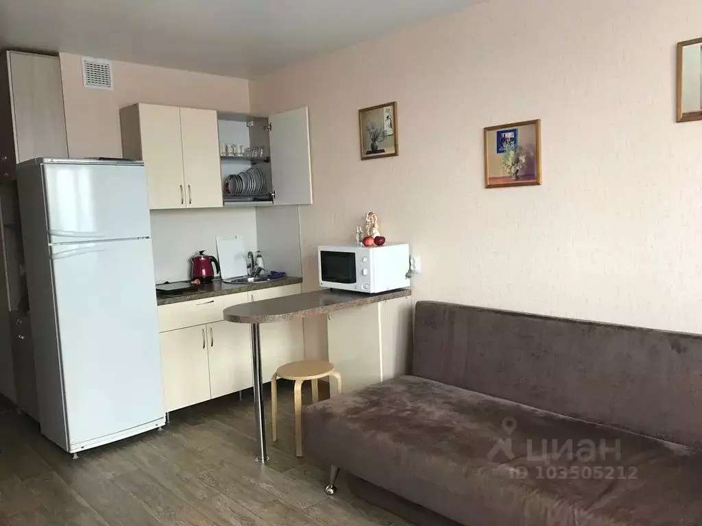 1-к кв. Нижегородская область, Нижний Новгород ул. Героя Жидкова, 6 ... - Фото 0