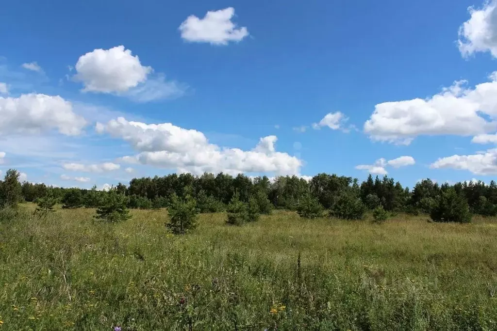 Участок в Владимирская область, Ковровский район, Доброград ... - Фото 0